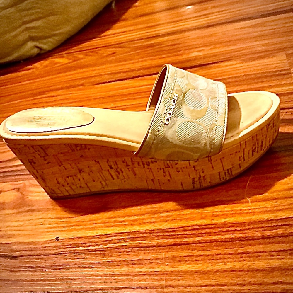 Beautiful Coach Platform Sandles